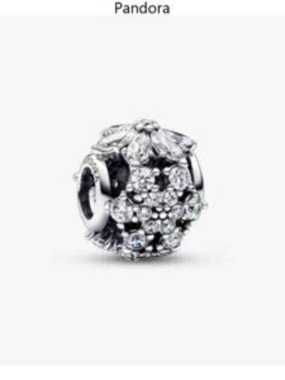 Pandora Sparkling Herbarium Cluster Round Charm